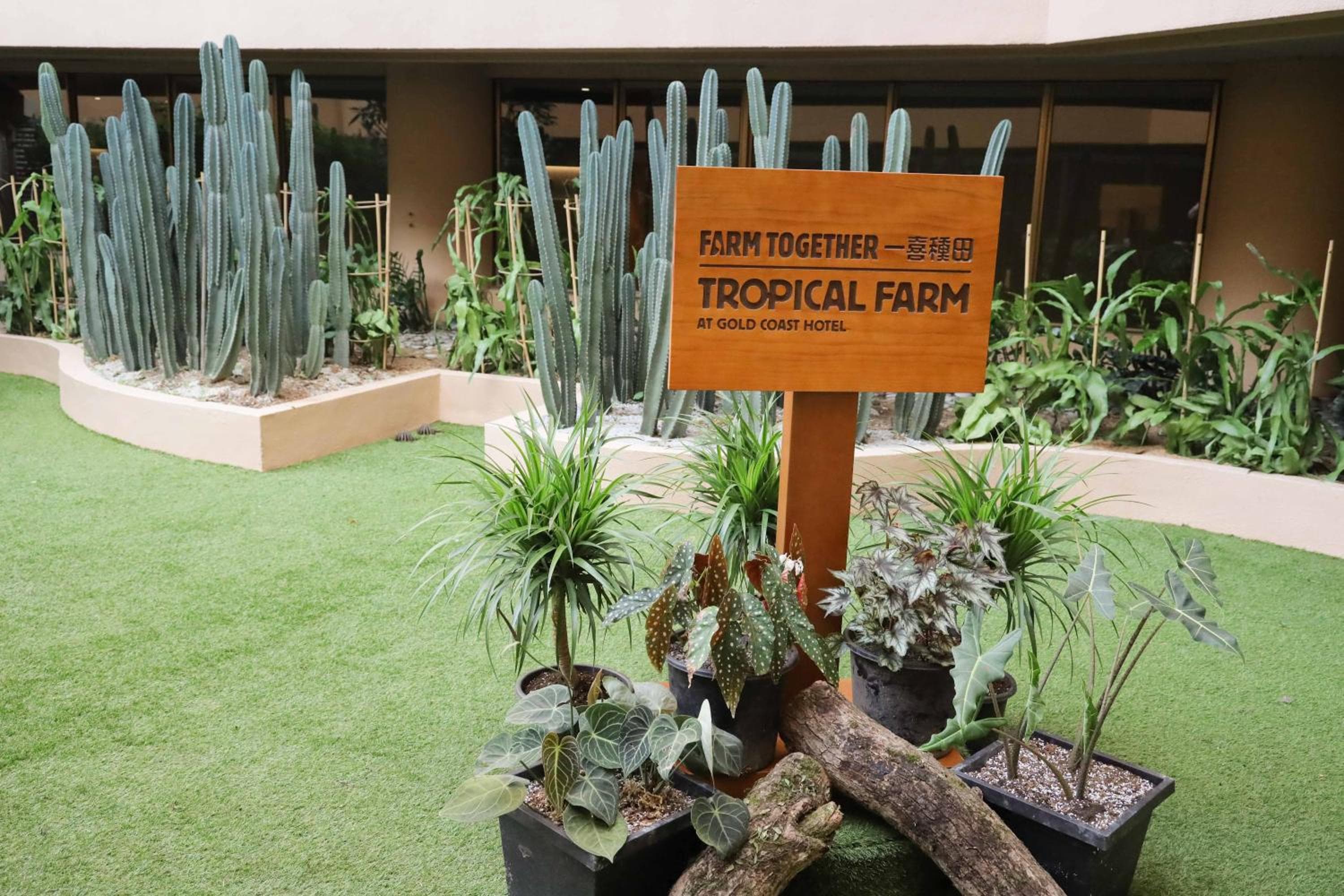 香港黃金海岸酒店 ( Hong Kong Gold Coast Hotel )