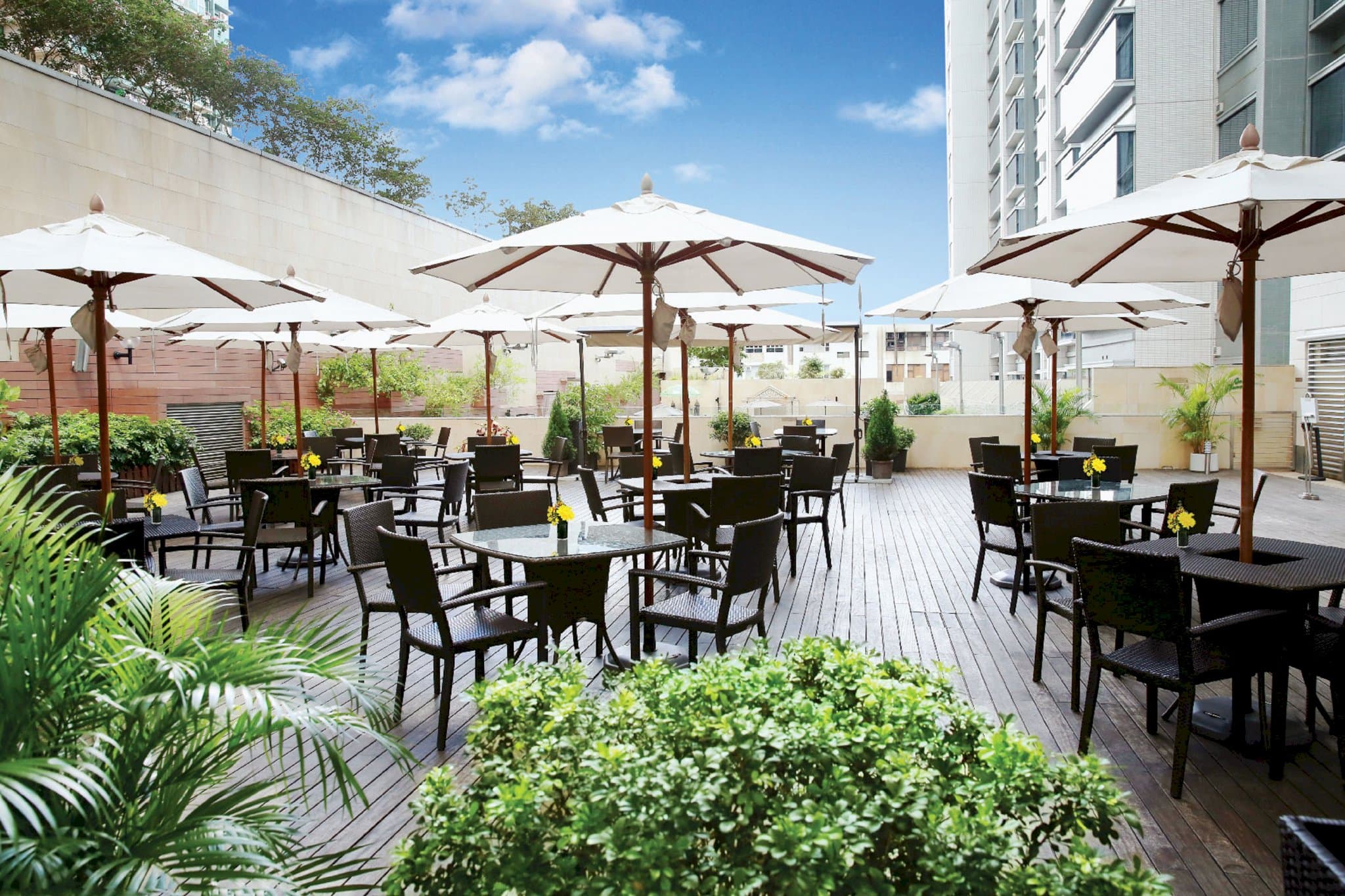 8度海逸酒店( Harbour Plaza 8 Degrees )